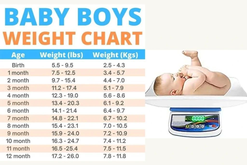 baby height and weight calculator