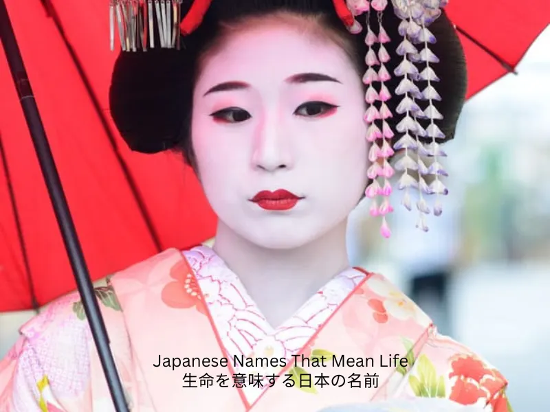 Japanese Names That Mean Life: Beautiful and Meaningful Choices